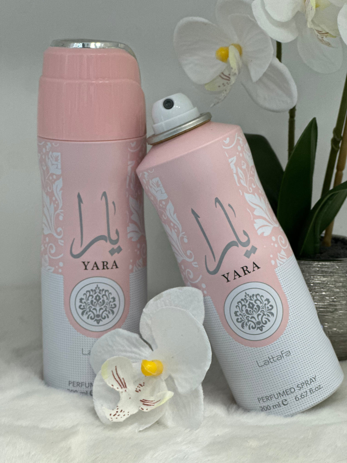 Lattafa Yara